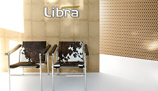 Libra company